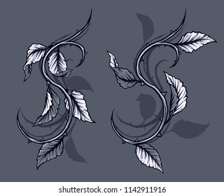 Graphic detailed black and white rose branch, stem with leaves, thorns and shadows. Isolated on gray background. Vector icon set. Vol. 1