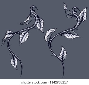 Graphic detailed black and white rose branch, stem with leaves and thorns. Isolated on gray background. Vector icon set. Vol. 4