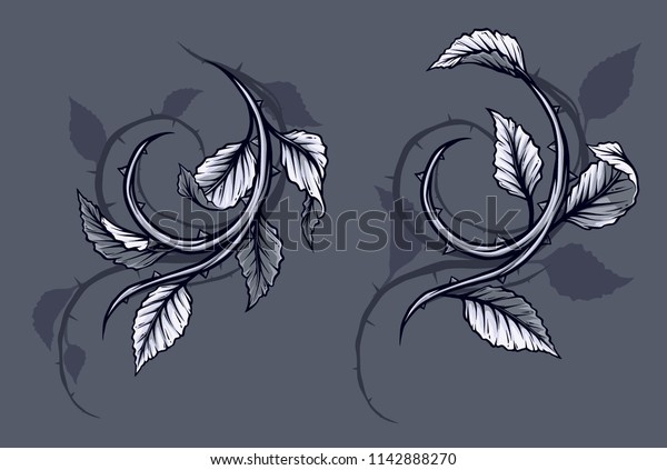 Graphic detailed black and white rose branch, stem\
with leaves, thorns and shadows. Isolated on gray background.\
Vector icon set.