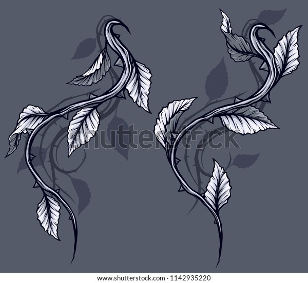 Graphic detailed black and white rose branch, stem with\
leaves, thorns and shadows. Isolated on gray background. Vector\
icon set. Vol. 4