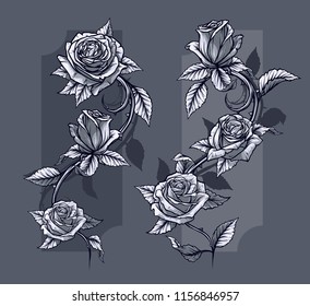 Graphic detailed black and white roses flower with stem and leaves. On gray background. Vector icon set. Vol. 6