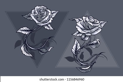 Graphic detailed black and white roses flower with stem and leaves. On gray background. Vector icon set. Vol. 3