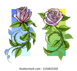 Graphic detailed cartoon pink roses flower with stem and leaves. On white background. Vector icon set.