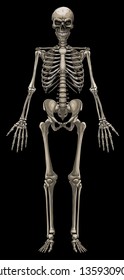 Graphic detailed colorful human bone skeleton with skull. Isolated on black background. Vector icon.
