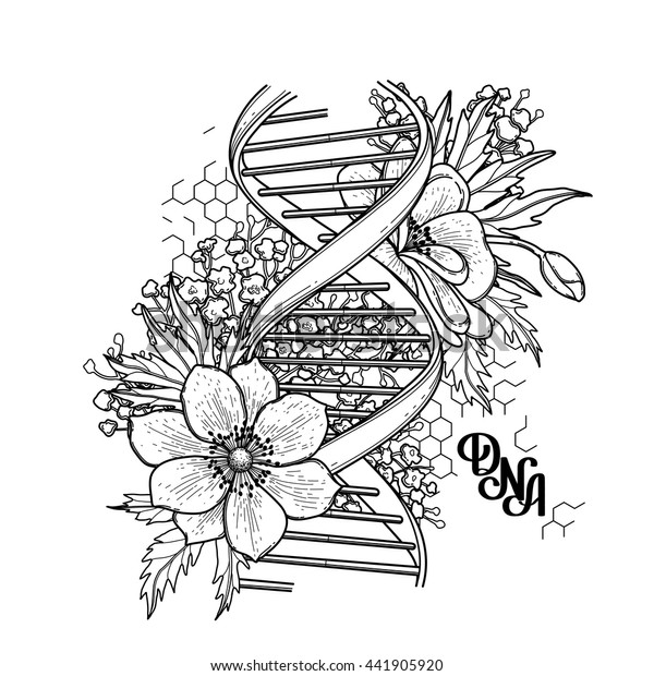 Structure D Adn Graphique Avec Creation Florale Image Vectorielle De Stock Libre De Droits