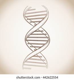Graphic DNA structure isolated on grunge background. Vector elements for scientific and medical research.
