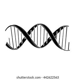 Graphic DNA structure isolated on white background. Vector elements for scientific and medical research.