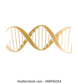 Graphic DNA structure isolated on white background. Vector elements for scientific and medical research. Line art in golden colors