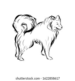 Graphic dog, pet, man’s four-legged friend, hand drawn graphic, line art, animal