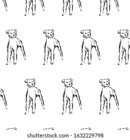 Graphic dog, pet, man’s four-legged friend, hand drawn graphic, line art, animal, design for wrapping paper, print for clothing decor, printing products