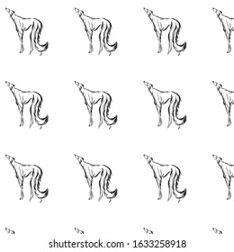 Graphic dog, pet, man’s four-legged friend, hand drawn graphic, line art, animal