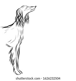 Graphic dog, pet, hand drawn graphic animal, line art 