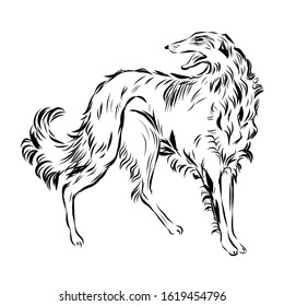 Graphic dog, single pet, man’s four-legged friend, hand drawn graphic, line art, animal icon in minimalism style