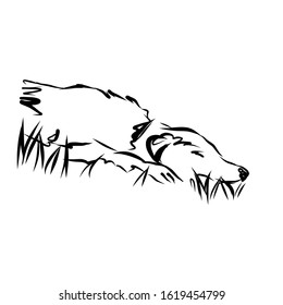 Graphic dog, single pet, man’s four-legged friend, hand drawn graphic, line art, animal icon in minimalism style