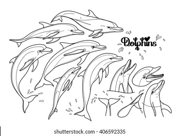 Graphic dolphins collection isolated on white background. Sea and ocean vector creatures in black and white colors. Coloring book page design for adults and kids