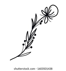 Graphic drawing. Botanical element. Original flower. outline