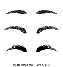 Graphic drawing of different eyebrow shapes on a white background. Vector illustration