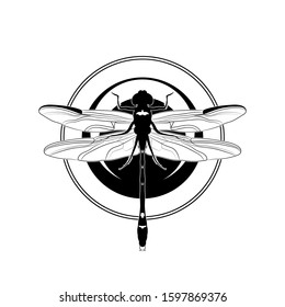 Graphic drawing. Dragonfly on background with circles. Black and white illustration. Vector.