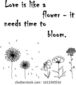 graphic drawing of flowers and labels, text about love, vector sketch, hand drawing with a black pen, dandelion, daisy