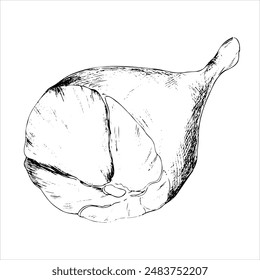 Graphic drawing of ham. Hand drawn vector sketch of meat on the bone for cafe and restaurant design