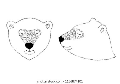 Graphic drawing of the head of a bear on a white background. Drawing of the head of a bear in the front and profile. Black and white drawing painted in strokes.