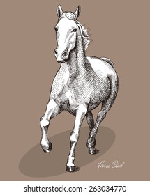 Graphic drawing horse