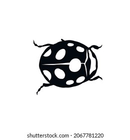 Graphic drawing of an insect. Clipart. Vector icon isolated on white background.