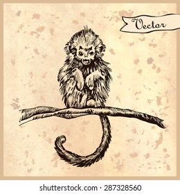 Graphic drawing monkey. Hand drawn doodle vector illustration. Manual graphic design. Symbol 2016.  Illustration for greeting cards, invitations, and other printing projects.