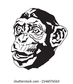 Graphic drawing of a monkey's head isolated on a white background. Vector image for stickers, prints, illustrations, banners, design.