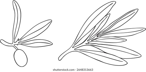 Graphic drawing olive branch vector. Hand painted floral illustration element olives fruit tree branches leaves isolated background. Edible foliage Drawings food Botanical. Fabric, wrapping paper gift