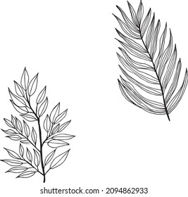 graphic drawing of palm leaf and tree branch.Perfect for home decor such as posters, wall art, tote bag or t-shirt print, sticker, mobile case. etching botanical art. Vector