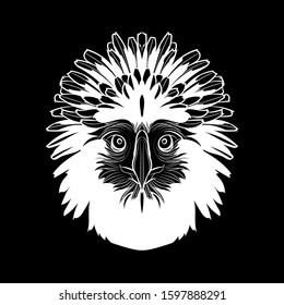 Graphic drawing. Philippine eagle (head). Black and white illustration. Vector.