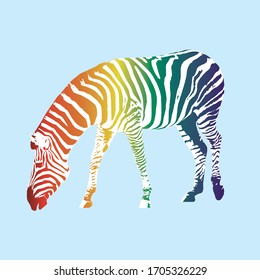 
A graphic drawing of a rainbow colored zebra. Digital vector drawing.