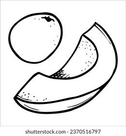 Grafische Zeichnung eines reifen Avocado. Vektorgrafik. Grüne Avocado-Früchte, gesunde nahrhafte natürliche Lebensmittel und Handzeichnung von Avocado-Scheiben. Grüner Avocado, tropisches veganisches Essen, exotische gesunde Küche