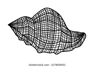 Graphic drawing of a seashell, geometric lines create the illusion of volume. Black contour illustration isolated on white background. Shell, snail, mollusk. Abstract icon, logo, vector design element