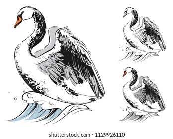 graphic drawing of a swan on a wave. Color, gray and black and white versions. Vector illustration, isolated objects