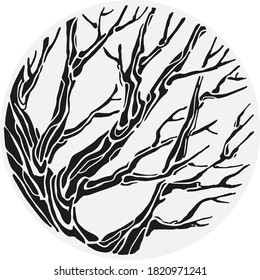 graphic drawing of a tree, vector illustration