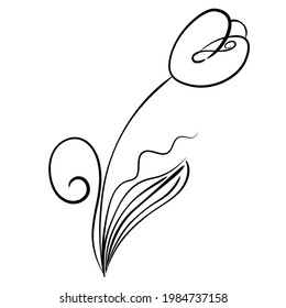 Graphic drawing of a tulip for logo, advertising.