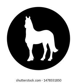 Graphic drawing. White silhouette of a horse in black circle. Vector.