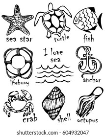 Graphic drawings of marine animals. Imitation of graphic drawings in ink. Drawing and creativity on the sea theme. Vector illustration.