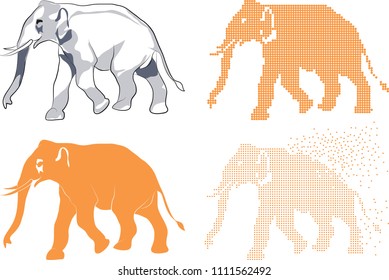 Graphic Effects, Vector art, Elephants line art