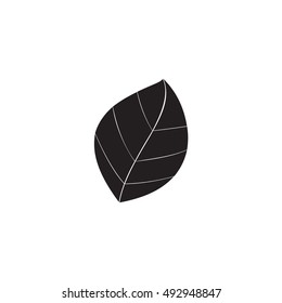 Graphic element on white background. 