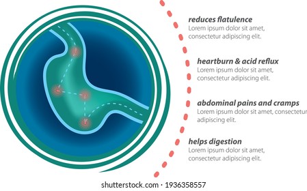 Graphic element suitable for drugs of the digestive system, gastritis and abdominal pain. Suitable for infographic, packaging or logo.