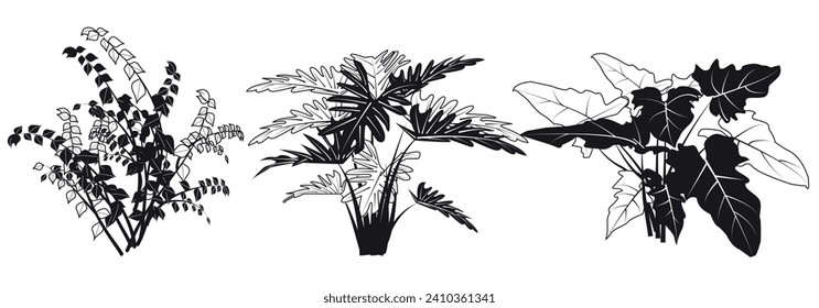 elementos gráficos para la ilustración y el diseño de boceto negro, flores interiores, Ficus benjamina, Philodendron