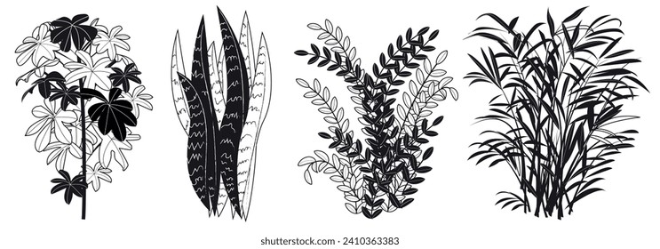 graphic elements for illustration and design black sketch, indoor flowers, sansevieria, zamioculcas, Chamaedorea, schefflera