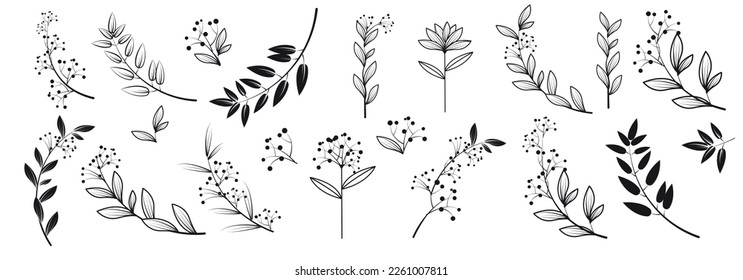 graphic elements for illustration and design, indoor flowers, leaves and twig for decoration, magnolia, element for logo, florist