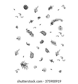 Graphic elements of sealife hand drawn in ink Vector Illustration 