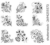 Graphic elements for vector design. Swirl vintage elements decorative illustration. 