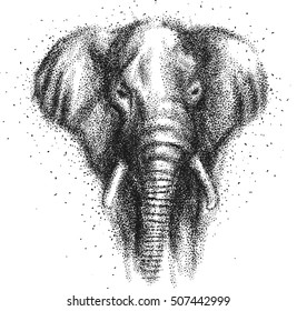 graphic elephant on white background