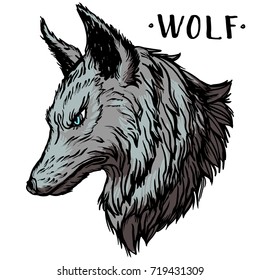 Graphic engraving style illustration of wolf head. Realistic detailed hand drawn art in tattoo style. Design for t-shirt, clothes, card print.